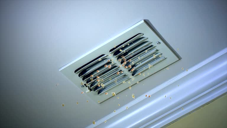 Best Duct Cleaning for Homes  in Sandy Hook, CT